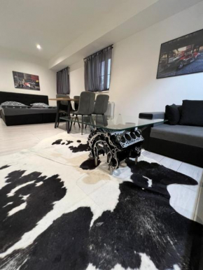 Apartmány Pískovna Assen, Ostrava